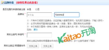 速賣通商標申請信息填寫全攻略 正確標注商標狀態的核心要點