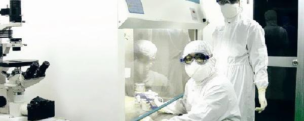 生物安全與生物技術開發 定義、挑戰與前景